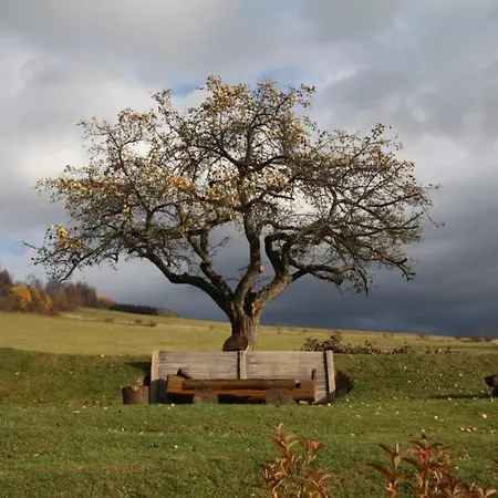 Βίλα U Zvonicky Velké Losiny